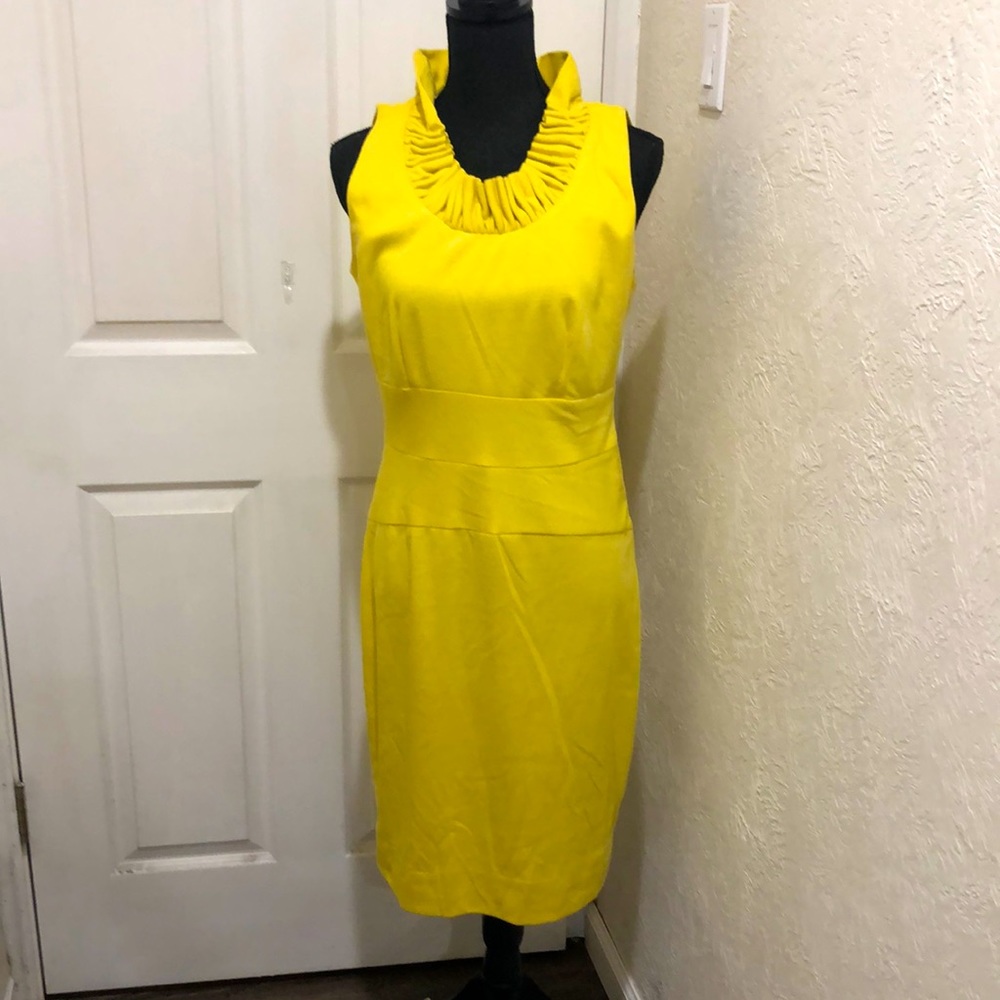 Julian Taylor Ruffle Collar Dress 10